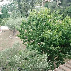 Σπίτι διακοπών Filio, Νικήτη